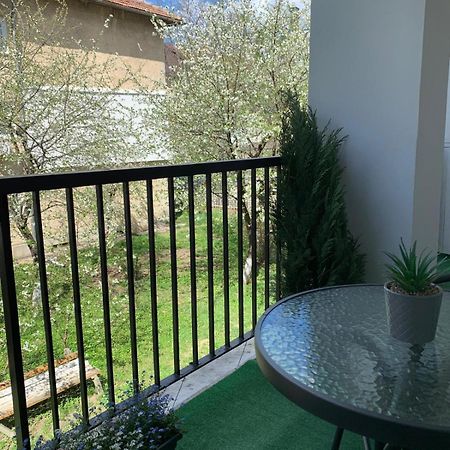Rose Apartment Piatra Neamţ 外观 照片