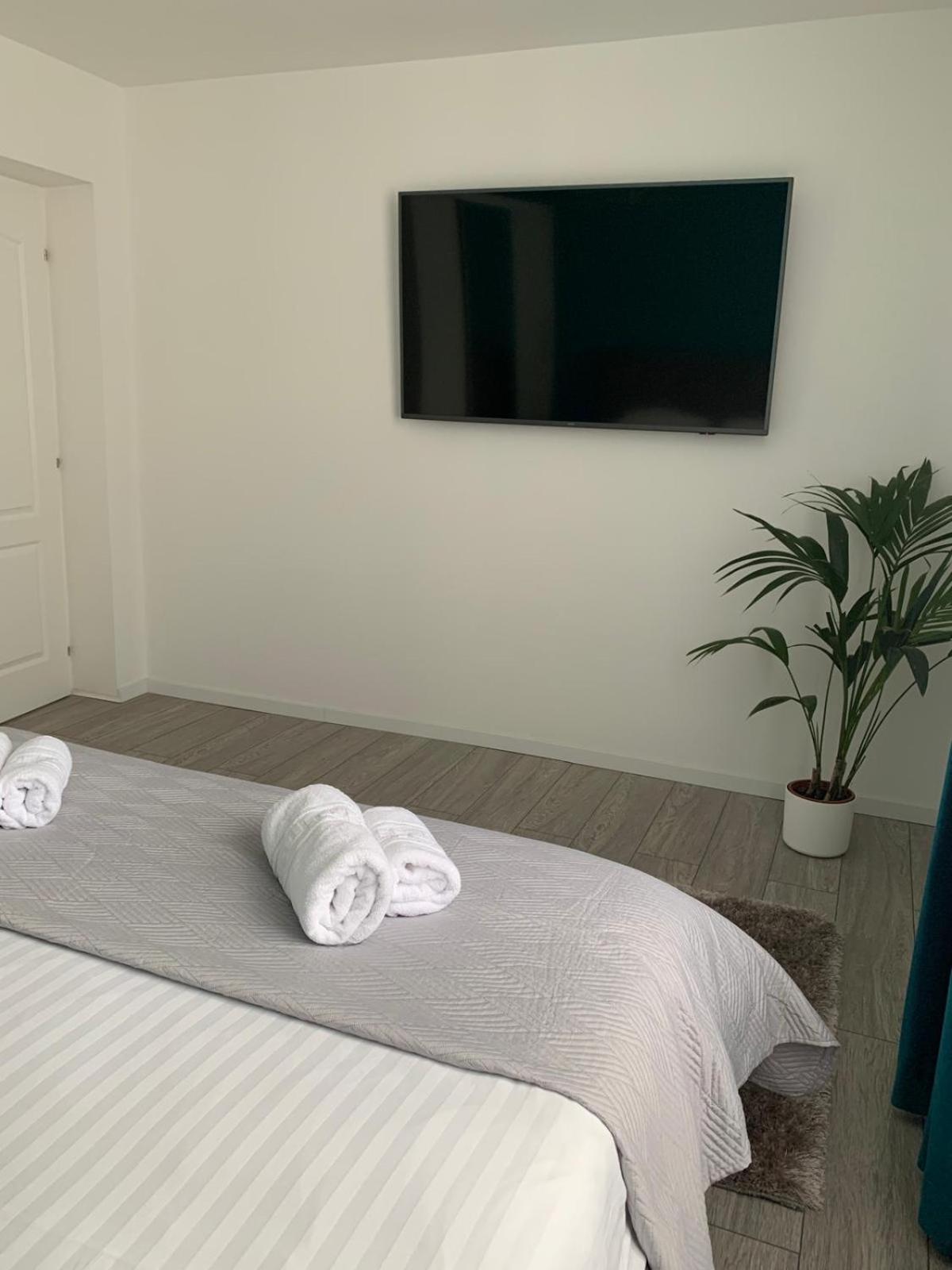 Rose Apartment Piatra Neamţ 外观 照片