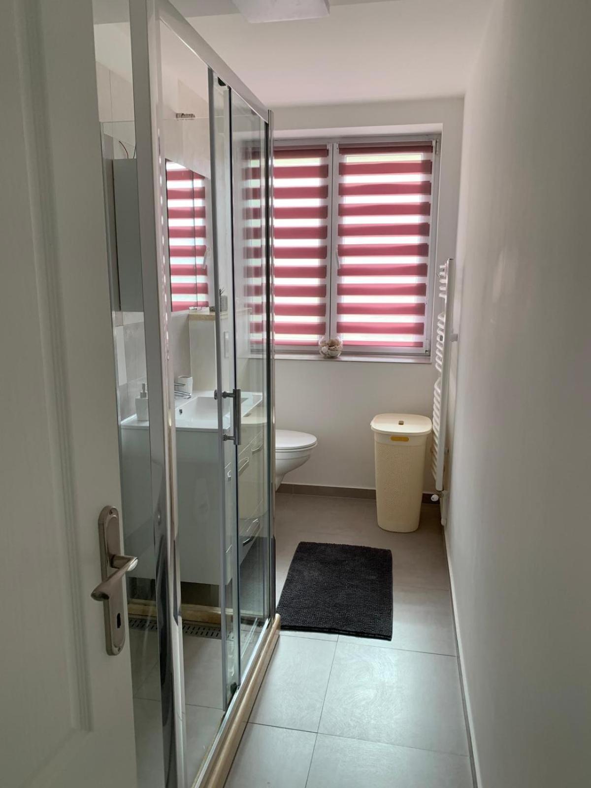 Rose Apartment Piatra Neamţ 外观 照片