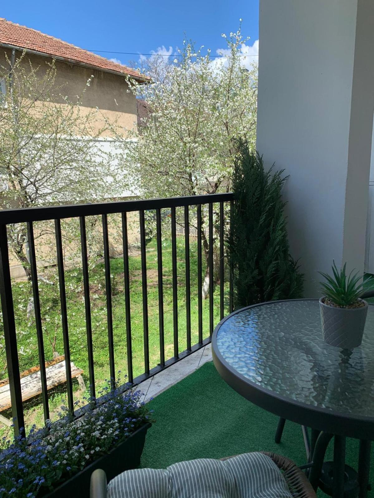 Rose Apartment Piatra Neamţ 外观 照片
